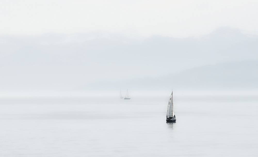 Platz 11 Harald Unglert